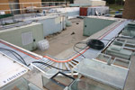 Why not build your own trailer park? Shown here is the ARC's threatened species area, whilst under construction. Copyright Amphibian Research Centre. Photograph by Gerry Marantelli.
