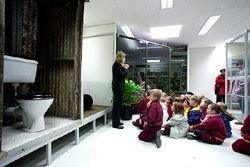 Learn about the habitat of Australia's frogs - from rainforest to bathrooms. Copyright Amphibian Research Centre.