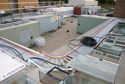 Why not build your own trailer park? Shown here is the ARC's threatened species area, whilst under construction. Copyright Amphibian Research Centre. Photograph by Gerry Marantelli.