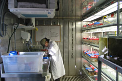 A container can contain a full-service laboratory. This one has a large sink, an extractor fan, and plenty of bench space. Copyright Amphibian Research Centre. Photograph by Gerry Marantelli.