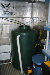 For quarantine, enclosures are plumbed individually. Water is filtered and treated before being returned to the system. Copyright Amphibian Research Centre. Photograph by Gerry Marantelli.