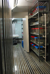 Internal walls can be built into containers to make multiple rooms. The room shown at the rear of this refrigerated container is being used to raise the endangered Baw Baw Frog (Philoria frosti). Copyright Amphibian Research Centre. Photograph by Gerry Marantelli.