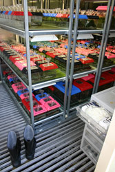 The "compactus" design allows for maximum storage of frogs. In this container, staff step into boots (which remain inside the container) for the purpose of quarantine. Copyright Amphibian Research Centre. Photograph by Gerry Marantelli.