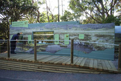 Simply attach a mural and the Corroboree Frog enclosure constructed for Taronga Zoo in Sydney doubles as an exhibit. Copyright Amphibian Research Centre. Photograph by Gerry Marantelli.