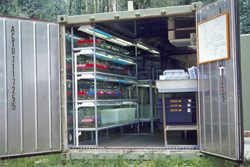 Constructed in Melbourne and shipped to the ACT, this container is the captive-breeding base for the Northern Corroboree Frog. A second, regular-sized door is found on the side of the container. Copyright Amphibian Research Centre. Photograph by Gerry Marantelli.