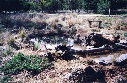 The completed pond at Serendip. A great day's work. Copyright Amphibian Research Centre. Photograph by Michael Helman.