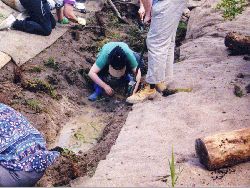 Pond plants can be purchased in seed tubes. Nothing could be easier than putting them in the ground using a Hamilton tree-planter. Copyright Amphibian Research Centre.