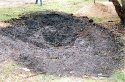 Stage one - the hole in the ground. Copyright Amphibian Research Centre.