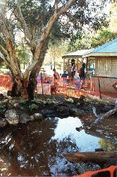 Our pond is certain to enhance the appeal of this picnic area. Copyright Amphibian Research Centre.