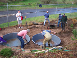 Many hands make light work - a theory being tested by the Eltham volunteer landscapers. Copyright Amphibian Research Centre. Photograph by Nikki Gemmill.