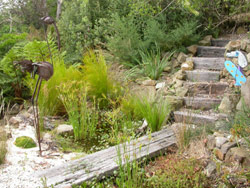 The Hilton pond is an important feature in this garden. Copyright Amphibian Research Centre. Photograph by Josh Hilton.