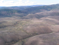 Gerry Marantelli visited Kosciuszko National Park to inspect the damage caused by the summer bushfires. Copyright Amphibian Research Centre. Photograph by Gerry Marantelli.