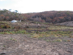 Gerry Marantelli visited Kosciuszko National Park to inspect the damage caused by the summer bushfires. Copyright Amphibian Research Centre. Photograph by Gerry Marantelli.