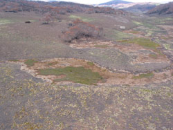 Gerry Marantelli visited Kosciuszko National Park to inspect the damage caused by the summer bushfires. Copyright Amphibian Research Centre. Photograph by Gerry Marantelli.