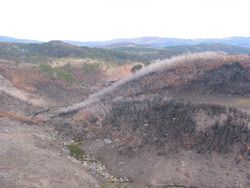 Gerry Marantelli visited Kosciuszko National Park to inspect the damage caused by the summer bushfires. Copyright Amphibian Research Centre. Photograph by Gerry Marantelli.