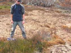 Dave Hunter wonders whether small undamaged calling and egg-deposition sites are enough to sustain the population. Copyright Amphibian Research Centre. Photograph by Gerry Marantelli.