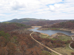 Gerry Marantelli visited Kosciuszko National Park to inspect the damage caused by the summer bushfires. Copyright Amphibian Research Centre. Photograph by Gerry Marantelli.
