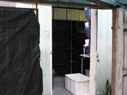 The cricket-breeding room is housed in a shipping container. Copyright Amphibian Research Centre. Photograph by Dave Black.
