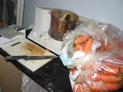 Food preparation for hungry crickets. Copyright Amphibian Research Centre. Photograph by Dave Black.