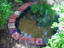 The edge of the pond is also a sculptural installation. Copyright Amphibian Research Centre. Photograph by West Balacatta PS.