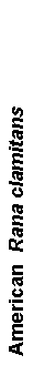Text Box: American  Rana clamitans