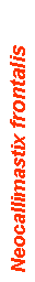 Text Box: Neocallimastix frontalis 