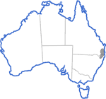 Distribution map for Assa darlingtoni