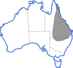 Distribution map for Cyclorana novaehollandiae