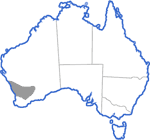 Distribution map for Heleioporus albopunctatus