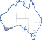 Distribution map for Litoria adelaidensis