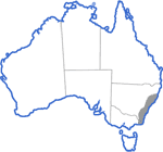 Distribution map for Litoria aurea