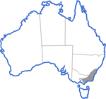 Distribution map for Litoria lesueuri