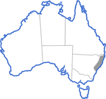 Distribution map for Litoria phyllochroa