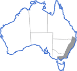 Distribution map for Litoria verreauxi