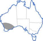 Distribution map for Neobatrachus pelobatoides
