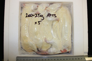 Large Adult Rats (5 x 200-250g)