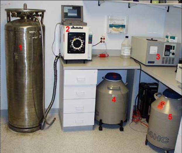 Cryopreservation area in IVF lab