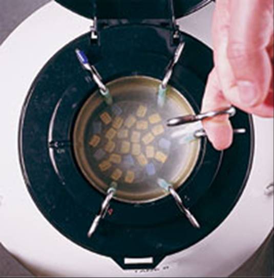 Egg Freezer