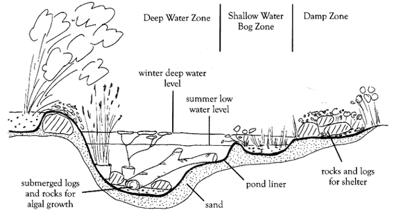 An ideal pond design