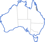 Distribution map for Austrochaperina pluvialis