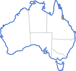 Distribution map for Austrochaperina robusta