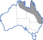 Distribution map for Bufo marinus
