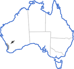 Distribution map for Crinia insignifera