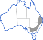 Distribution map for Crinia parinsignifera
