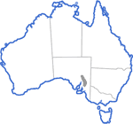 Distribution map for Crinia riparia