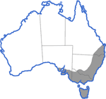 Distribution map for Crinia signifera