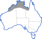 Distribution map for Cyclorana australis