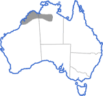 Distribution map for Cyclorana cryptotis