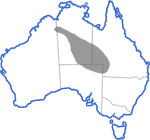 Distribution map for Cyclorana cultripes