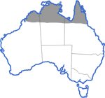Distribution map for Cyclorana longipes